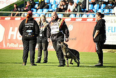 Qira van Arne`s Hoeve